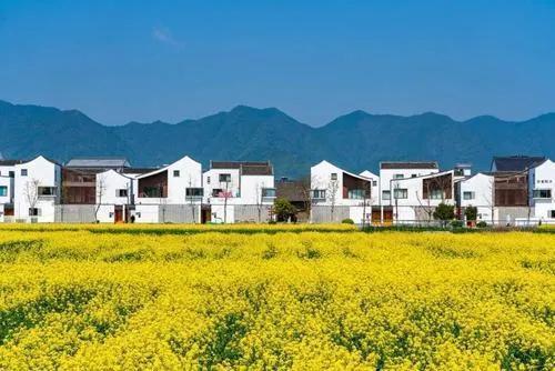 宅基地|未来5年，农村将围绕着5件事情周转，关系到住房问题