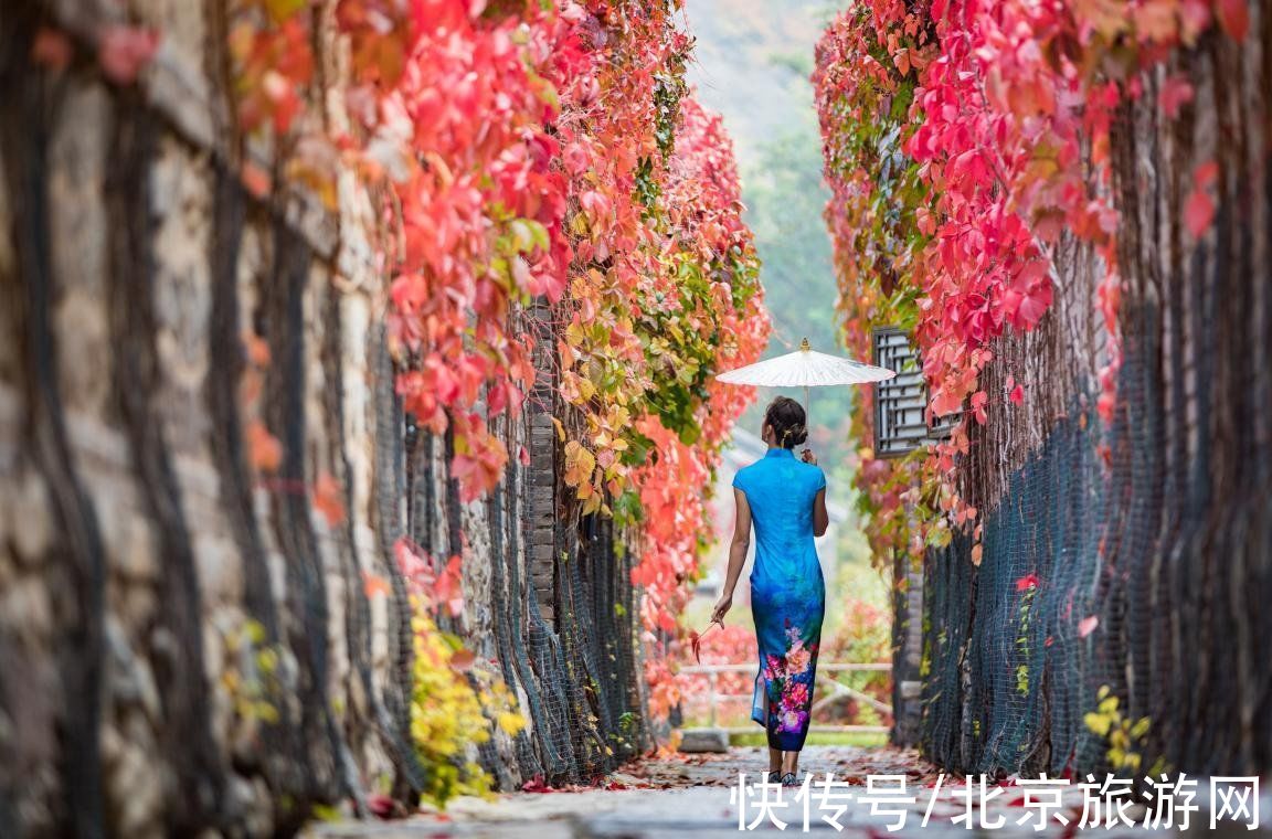 寒露已过，邂逅密云醉美深秋|水光潋滟?红叶诗韵| 红叶