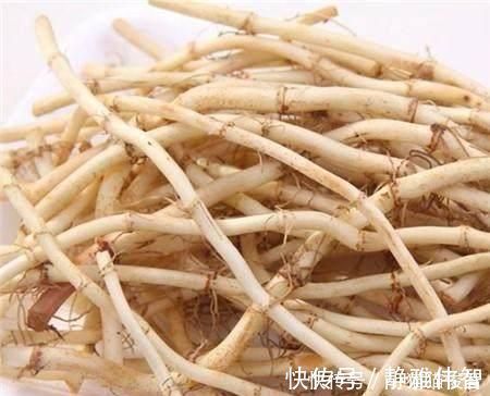 流鼻涕|感冒咳嗽，流鼻涕，煮碗汤，一碗下肚，化痰止咳，速断根