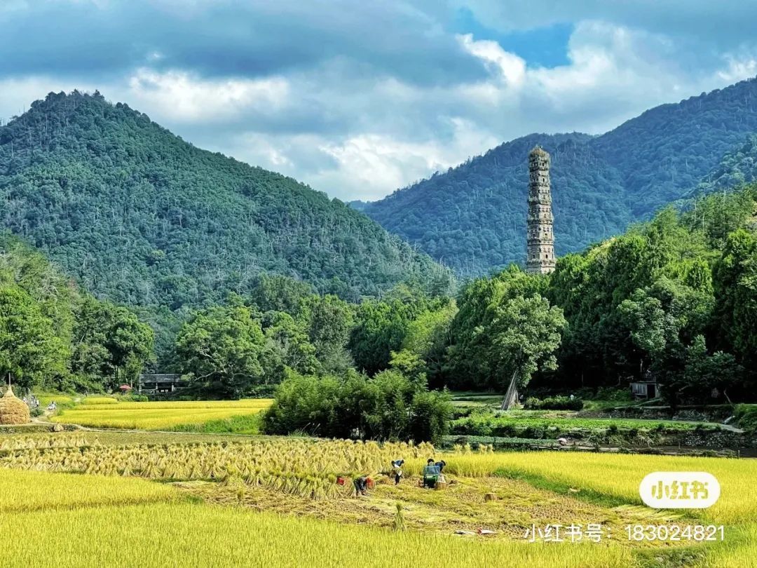 国清寺|你永远可以相信，天台的秋天足够迷人！