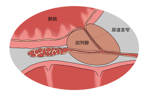 a4211|40岁后,衰老慢的男性,一般会有3个共性,若你有,值得高兴