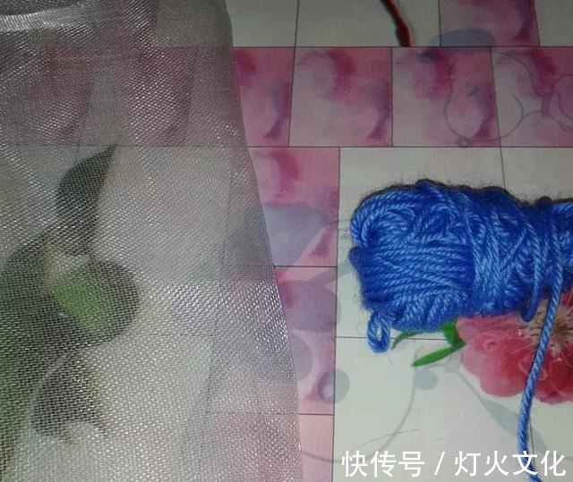 绿萝发黄养不好，一碰塑料瓶，根系蹭蹭长，叶子比巴掌还大！