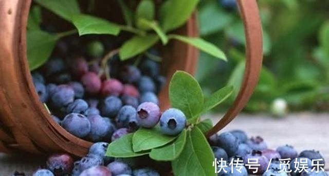 减肥瘦身|秋天到了，不妨多食4种食物，延缓衰老，减肥瘦身，早吃早受益