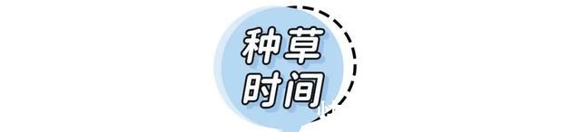 内衣 男朋友看了就想撕的内衣,我不信你敢穿!男朋友看了就想撕的内衣,我不信你敢穿!