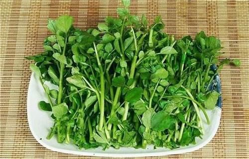 食物|想长寿全靠吃，推荐多吃3种食物，排毒养颜，补气补血，不妨一试