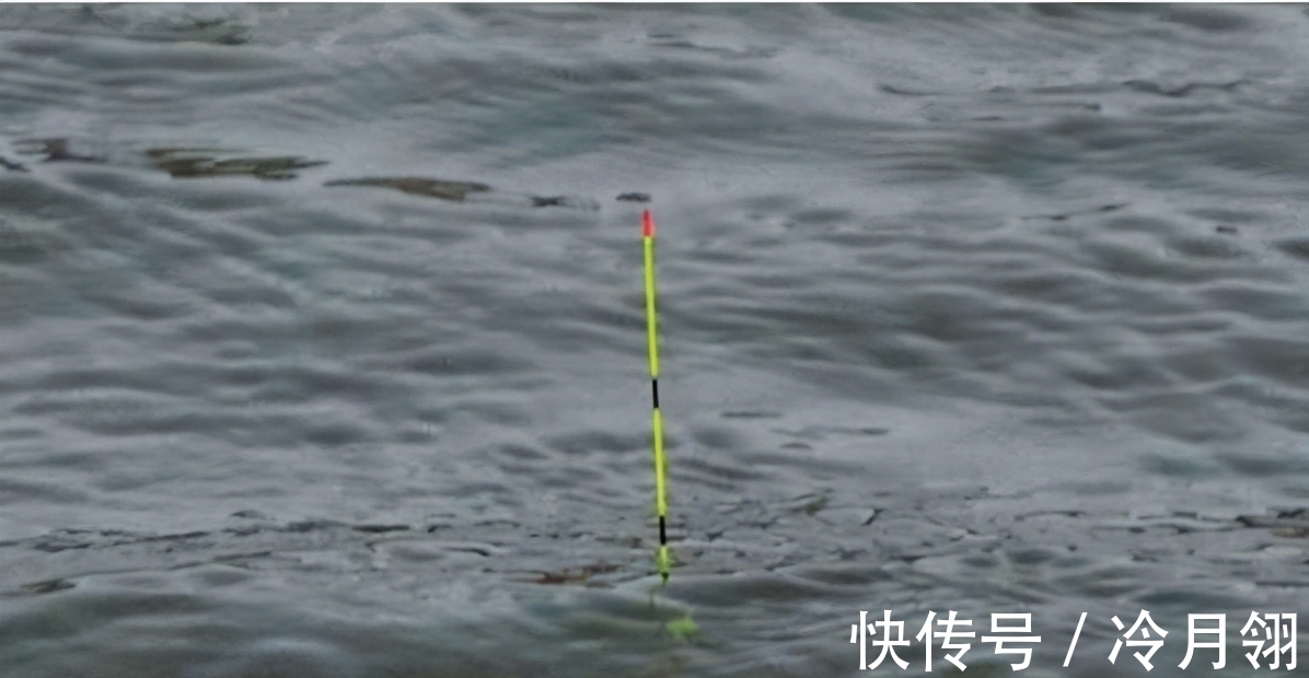 搞明白浮漂产生动作的原因,就知道怎么钓鱼了