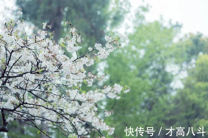 江月@100首春天唯美古诗词（值得收藏）