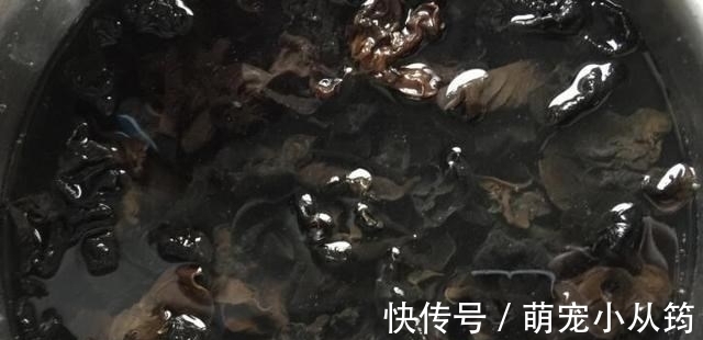 秋天,别错过这碱性食物,7毛钱一斤,用来包饺子鲜嫩多汁超级香