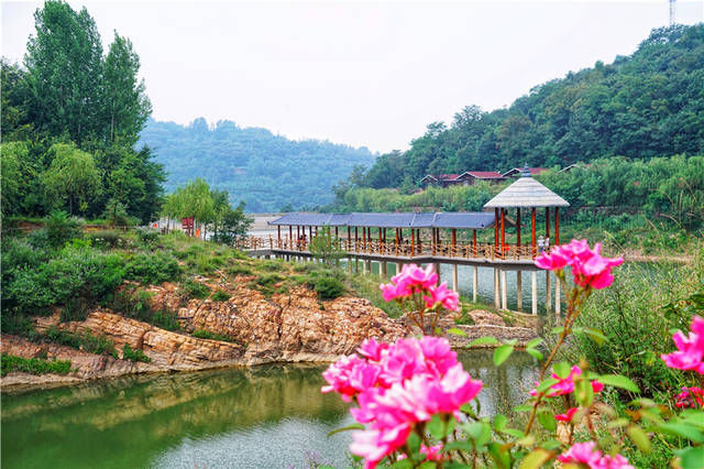 河南郑州一小时生活圈的诗画田园，深山里的＂天空之境＂唯美浪漫