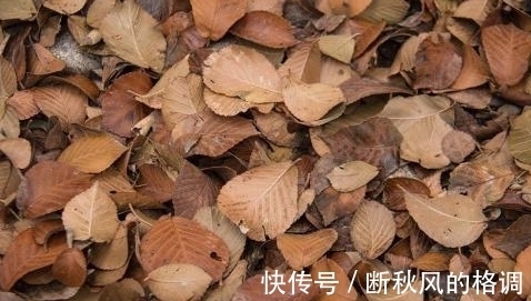 月事|古代没有卫生巾，女子来大姨妈时，她们是怎么处理的