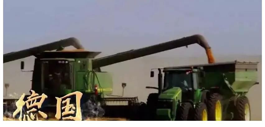 三农|主持人小超（孙希超）：身在田间地头的主持人