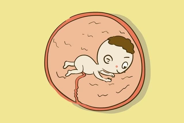 子宫|宝妈睡觉翻身时,胎儿在子宫里干嘛?你可能猜不到