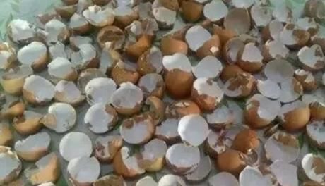 怎么自制氮、磷、钾肥等养花常用材料？