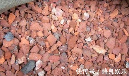 养花|“红砖”养花有这3大效果,在兰花盆底铺上一层,养一盆旺一盆!