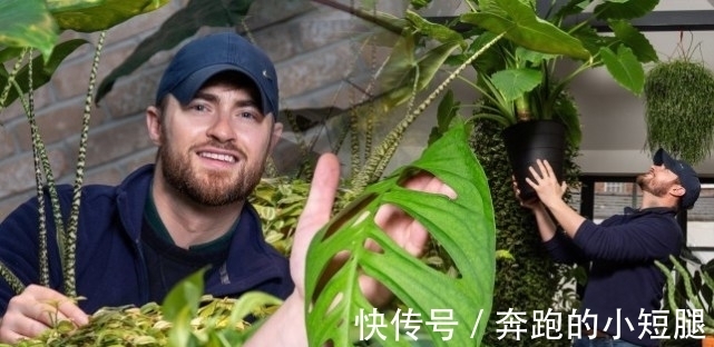 叶子|真土豪!英国小伙家里养珍奇植物,单一片叶子就能卖上10万