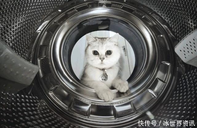 有了这些拍照背景,你便人见人爱花见花开!