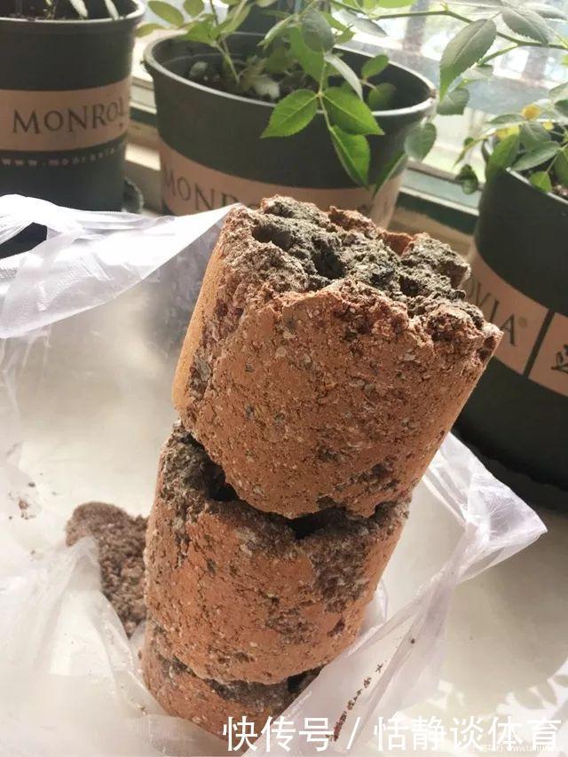 开春别换盆了，这7种东西撒土里，花吃了新叶子呼呼冒！