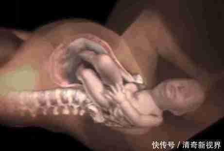 顺产到底有多疼？五张图片告诉你顺产全过程，心疼女人千百遍