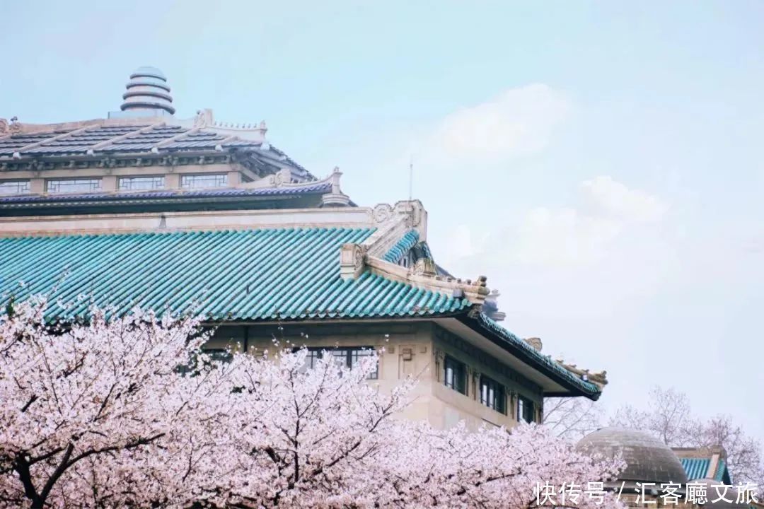 淋一场烟雨，遇一场花事，9个三月花海刷屏的地方