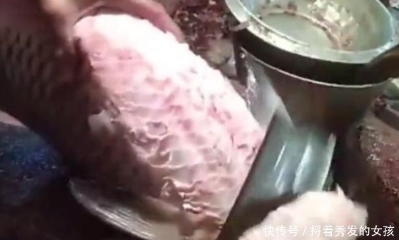 印度人|看看印度人如何吃鱼?20斤的草鱼,动刀第一步就让人大开眼界