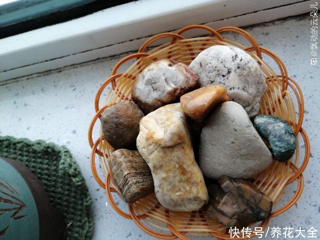 过完年，垃圾桶周围多了不少花，又要开始捡破烂儿了