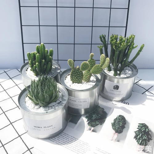 肌肤 新依美护肤:长期面对电脑?那该如何摆脱倦容和黄脸婆