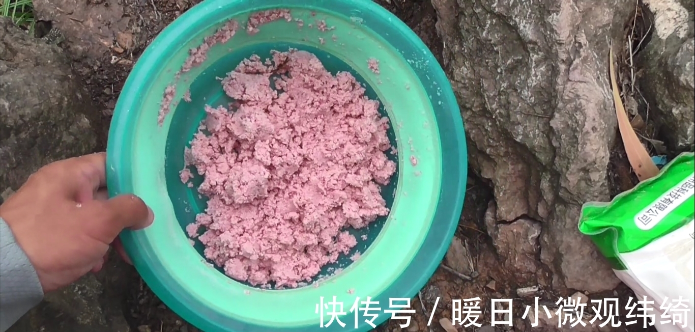 海竿|手竿钓鲢鳙,抓口不准总是跑鱼?记住这几句话能钓得手软!