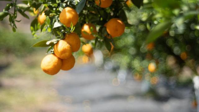 t01f85fe7dcf1c38b22.jpg?size=641x361