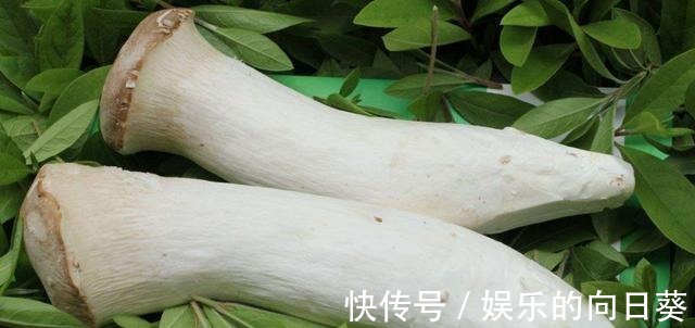 杏鲍菇6种最好吃的做法,每种都简单美味,看看你喜欢吃哪种