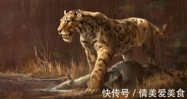 老虎&神农架相传出现过“过山黄”,体型在老虎之上,以山间百兽为食