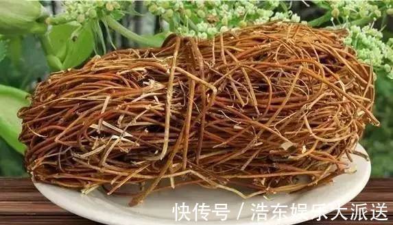 蒲公英|枸杞三斤抵不过此物一钱，经常泡水喝，不仅肝火平了，还能补脾虚