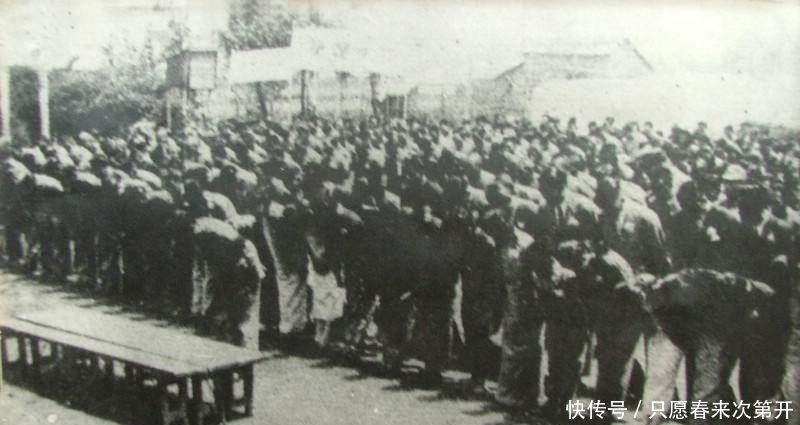 八百壮士|不能忘记的一代名族英雄——谢晋元