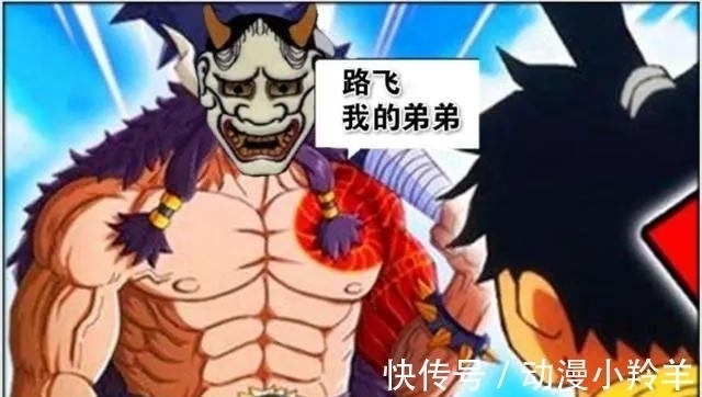 凯多|海贼王:尾田“无间道”再现,路飞又一个哥哥出现,凯多是卧底