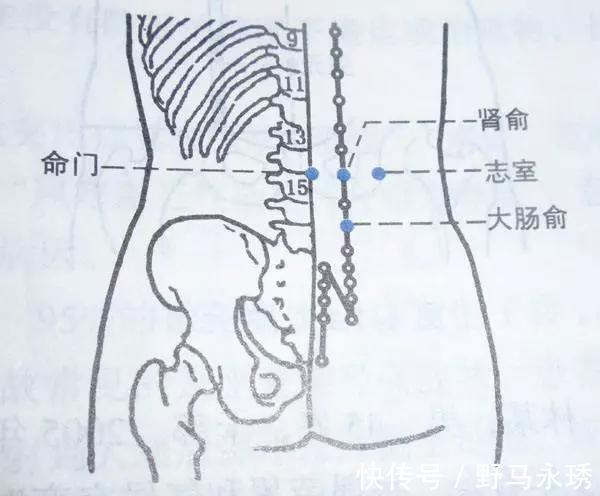 棉花丝|有痔疮的人，后腰常有“红色小点”，里面藏着“棉花丝”