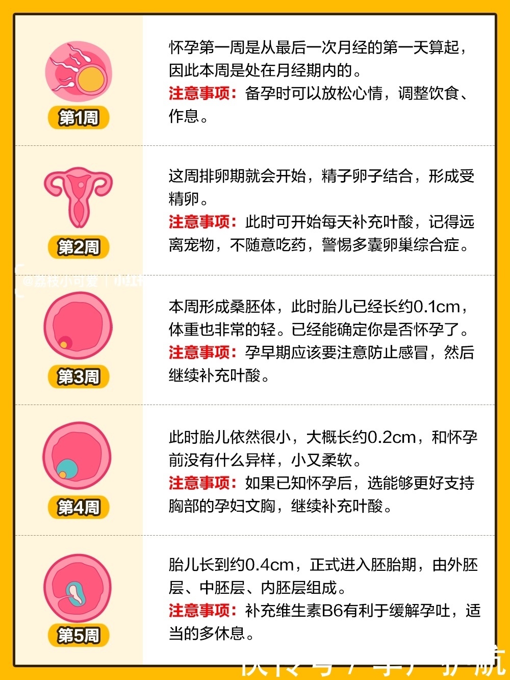 孕期1 40周 胎兒發育全過程變化和b超單解讀 中國熱點 孕期1 40周 胎兒發育全過程變化和b超單解讀 中國熱點