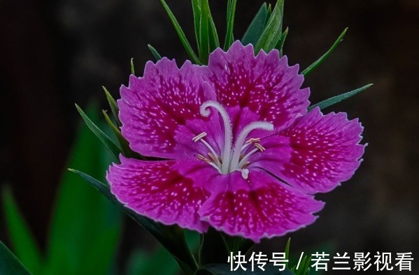 思维方式#老实人心直口快,背会4句为人处世的“口诀”,才能福从口入!