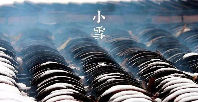 美味|明日小雪,5种蔬菜要常给家人吃,美味又营养,健康饮食身体好