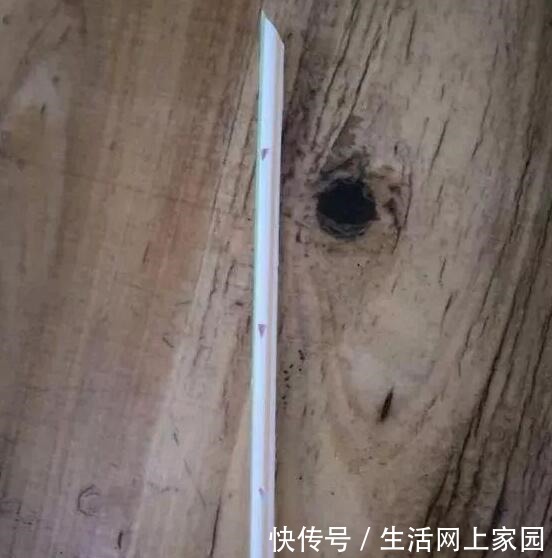 大妈把吸管筷子插花盆,解决了养花人的“2大难题”,朋友都效仿!