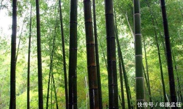 北宋|北宋“圜刃”锉:人类钻探史上发明的第一个钻头