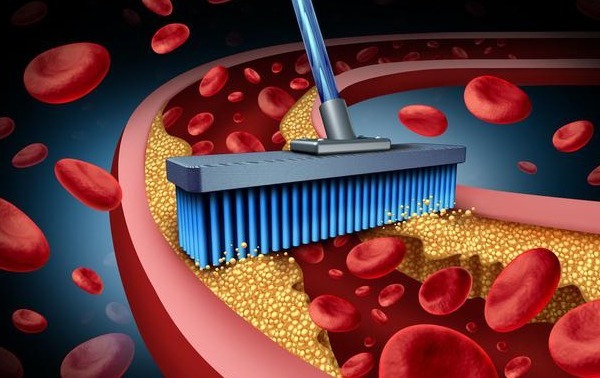 甘油三脂|10个人里就有4个高血脂,血脂怎样吃回去有几个方法快告诉家人