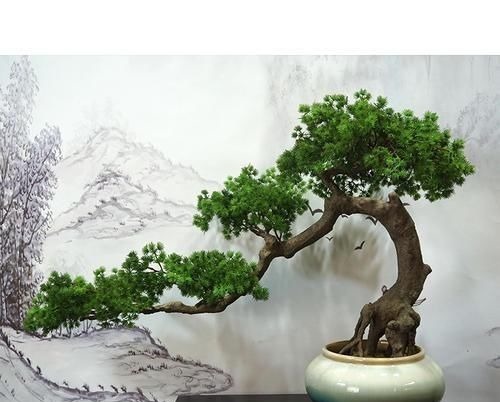 阳台再小,也要养3种花,小盆就能养,盆小水少长得快!