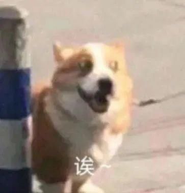 彩妆｜当初爱它到不行，如今一说就来气？