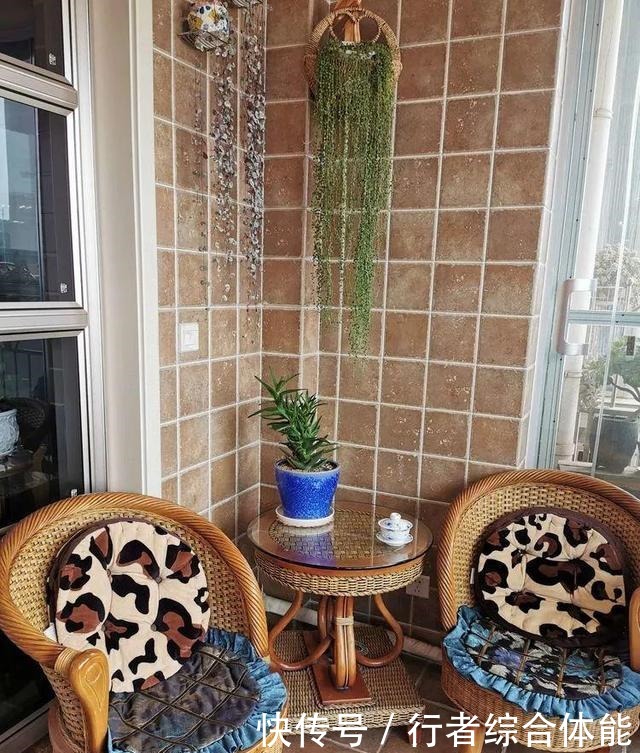 一方阳台,一方多肉,我的生活和姿态!一方阳台,一方多肉,我的生活和姿态!