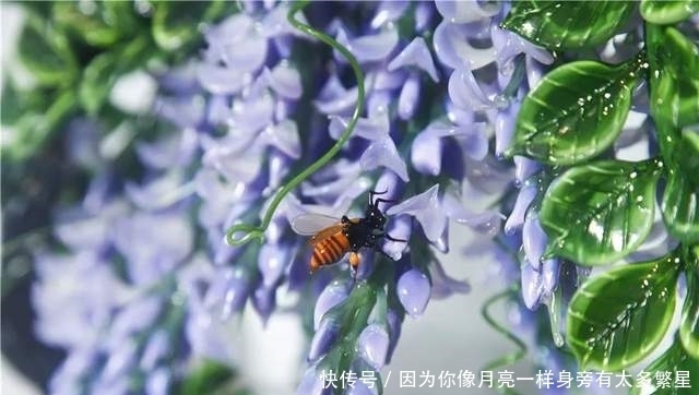 步行街|美翻!淄博还有这么一个“小而美”的地方,等你去发现!