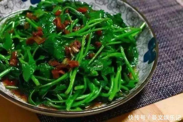 这4种花,不用土只用水,就能养成绿窗帘!