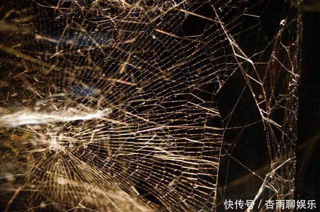 巧用蛛丝或棉絮,专门拉白条,一小时能上几十条