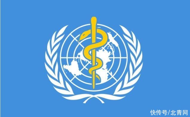 浙江省|浙江健康码上新了！“金蛇护体”刷爆朋友圈