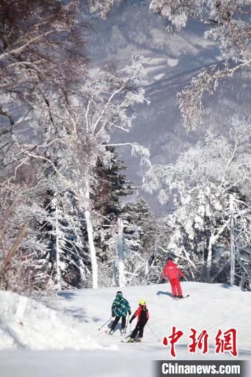 试验区|青春风潮在吉林雪场掀起新一轮“冰雪热”