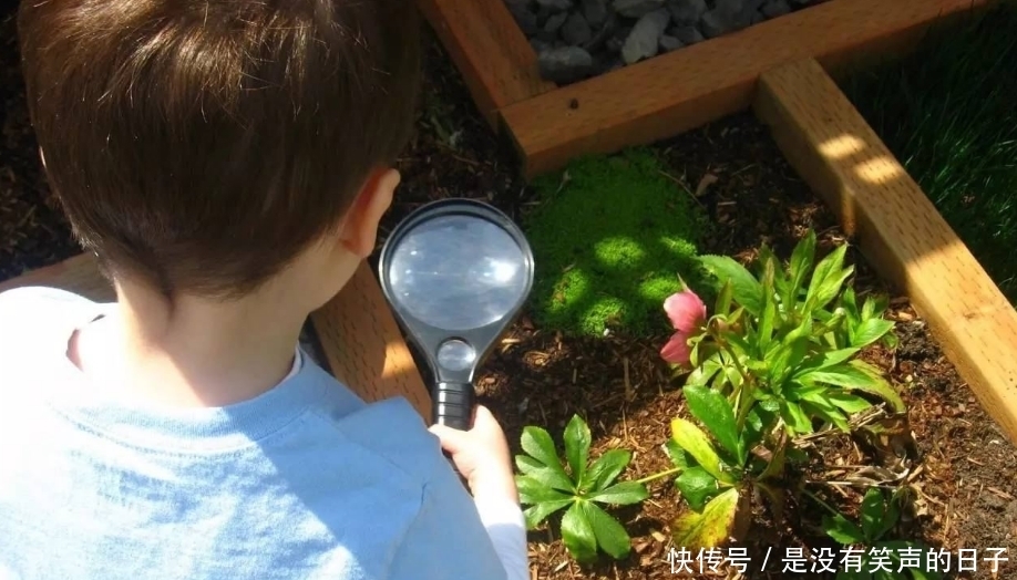 好奇心|忽视孩子的“为什么”,会使孩子失去好奇心,也不要答非所问