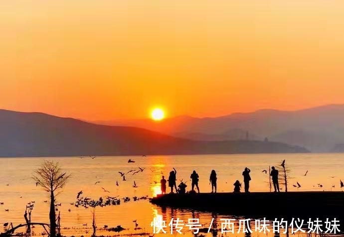 丁小槐#《沧浪之水》:一部经典官场小说,告诉我们职场生存的5个真理